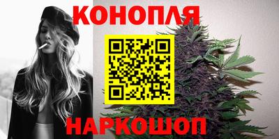 мяу мяу мука Кунгур