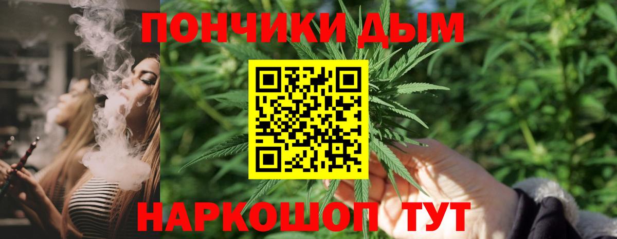 Пугачёв  Каннабис сатива  Вход с VPN  Бошки Шишки LSD WEED  Канабис OG Kush  Марихуана OG Kush 